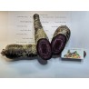 Giant Carrot Seeds Purple Dragon | 1,55 €