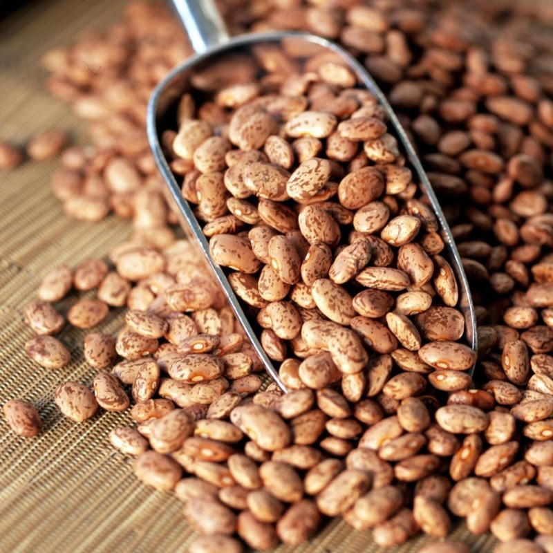 Pinto Bean Seeds (Phaseolus vulgaris) Price €2.00