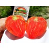 Graines de Tomate Coeur de Boeuf | 1,75 €