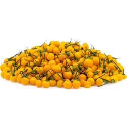 5 свежих Charapita перец фруктов с семенами - Предложение ограничено по времени 10 - 2