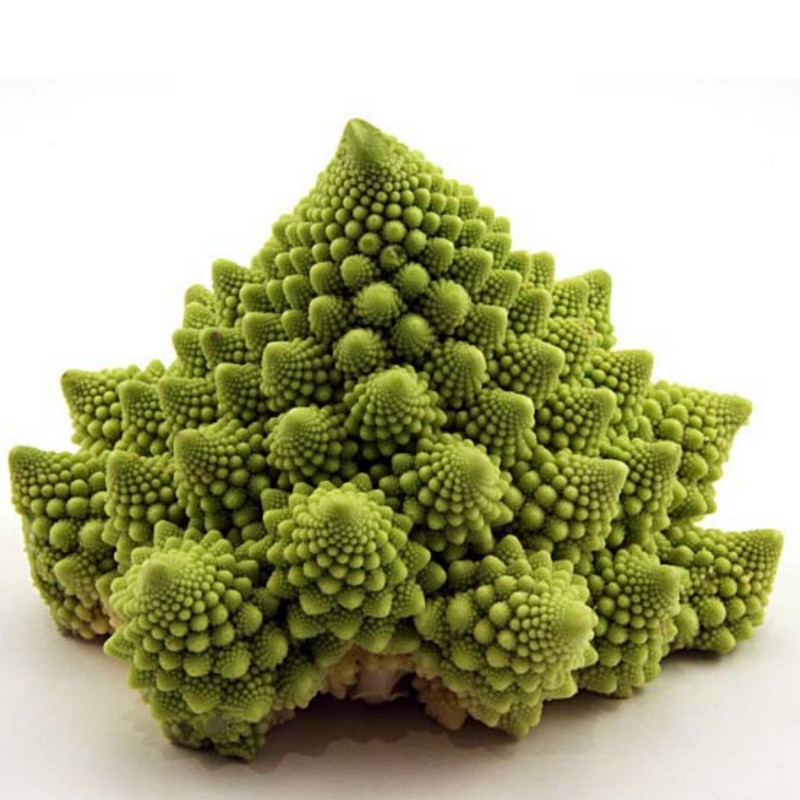 Graines Chou fleur vert Romanesco 2.75 - 1