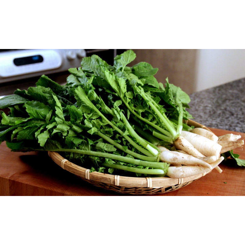 Sementes YEOLMU coreano Jovem Verão Radish | 3,00 €
