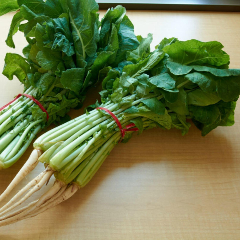 Sementes YEOLMU coreano Jovem Verão Radish | 3,00 €