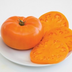 Narandžasti Beefsteak Paradajz Organsko Seme 2.15 - 3