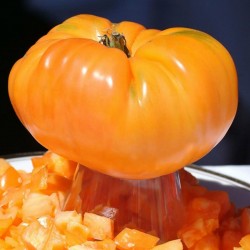 Orange Tomate Samen Beefsteak Alte Sorte 2.15 - 2