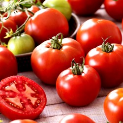 Sementes de tomate Saint Pierre 1.5 - 3