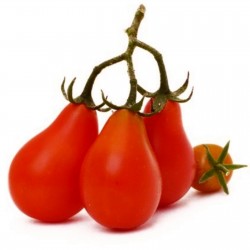 Red Pear Tomato Seeds 1.9 - 1