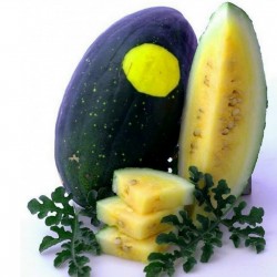 100 Seeds Yellow Fleshed Watermelon Moon and Stars 10 - 6