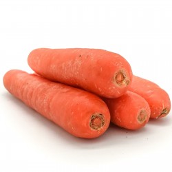 Carrot Flakkee Seeds 2.049999 - 2
