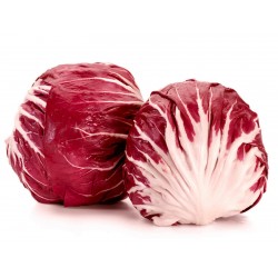 Radicchio - Chicory Seeds ‘‘Red Verona‘‘  - 2