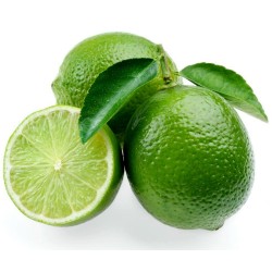 Price: €1.95 - Σπόροι Περσικού λάιμ (Citrus latifolia) - 