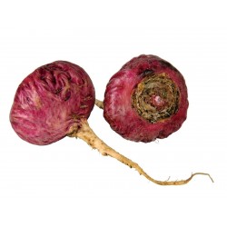 Мака перуа́нская красный семена (Lepidium meyenii)  - 3