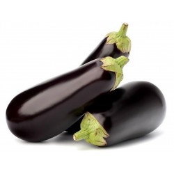 Medium Long Eggplant Seeds  - 2