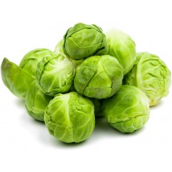 Siberian Early brussel sprouts seeds  - 3