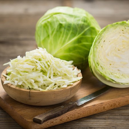 Ditmar kupus seme | 1,25 €