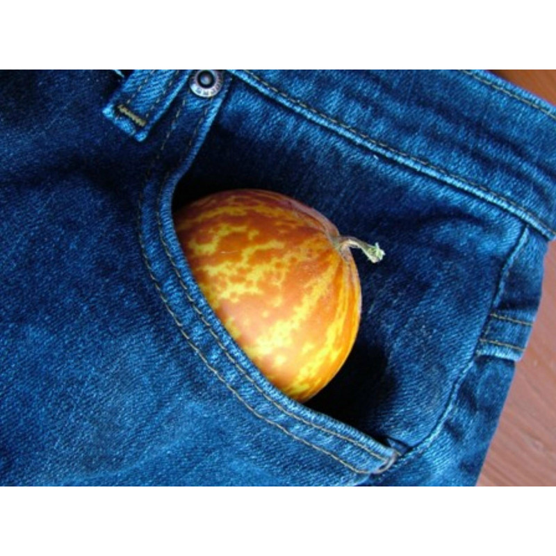 Graines le melon Dudaim - melon de la reine Anne | 2,70 €