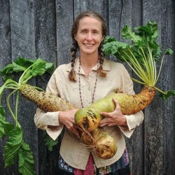 1.85 Graines de betterave jaune géant Eckendorf