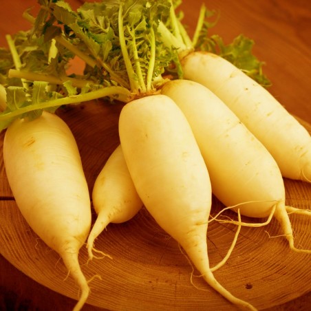 Radish Seeds Johns Day | €1.95