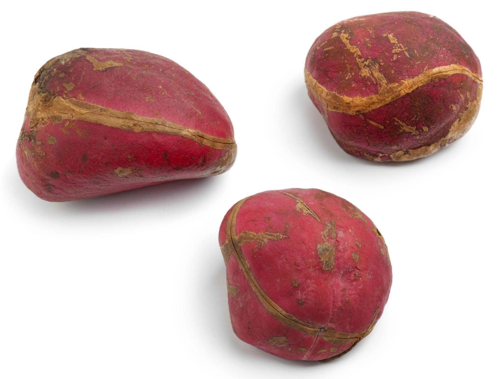 Giá bán: € 9.50 - Coca Cola - Hạt hạt Kola (Cola acuminata)