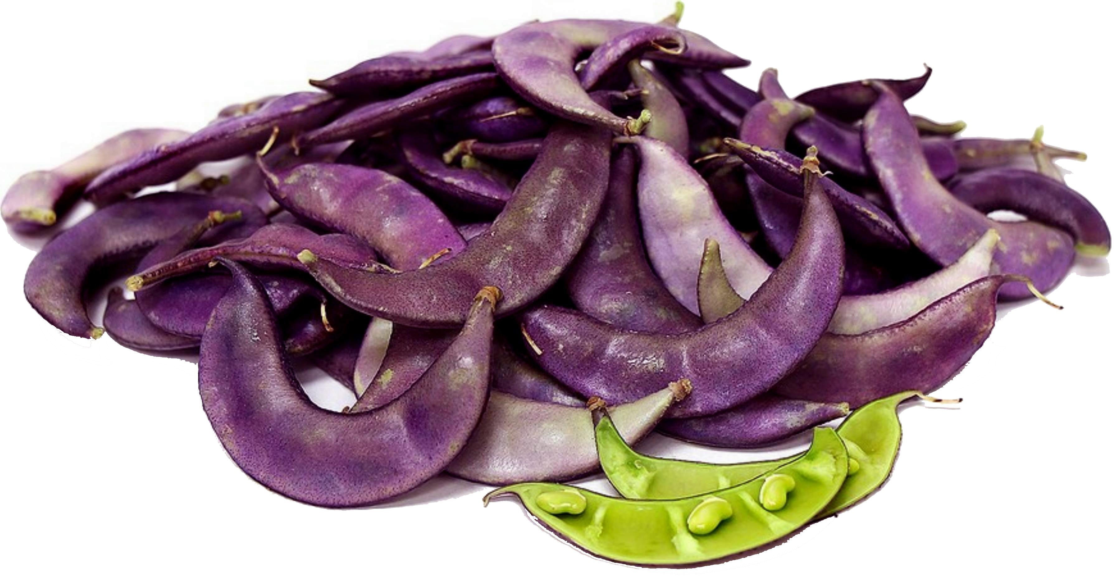 Graines De Pois Antaque (Lablab Purpureus) - Environ 10 Graines, Plante Grimpante à Fleurs Violettes - 6